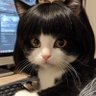 さぶはち profil fotoğrafı