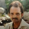 Mishra SN's profile picture