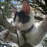 Maisy's profile picture