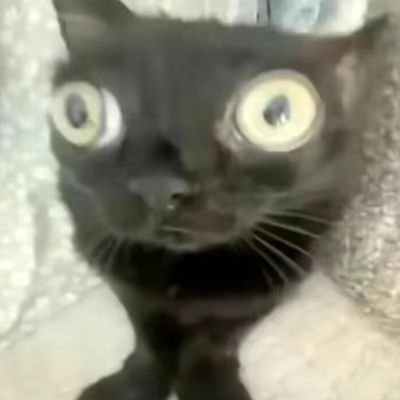 oopsdude's profile picture