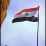 محمد الدهمي's profile picture