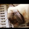 Riichiro=popochita 的头像
