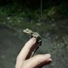 マロン profil fotoğrafı