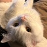Profilbild von Maddigan