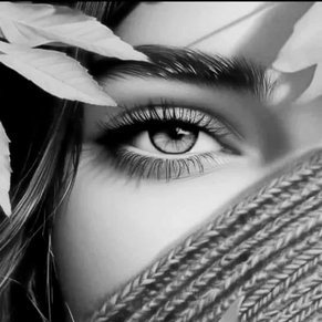 AlnsrAshqt73422's profile picture