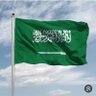 🇸🇦🕊دلال profil fotoğrafı