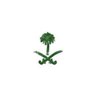 𝑒𝓁 🇸🇦.'s profile picture