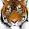 True line's profile picture