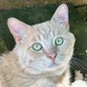Buddy 🌈 & Teddy B 🌈 profil fotoğrafı