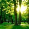 Фото профиля هاشق