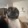 alex profil fotoğrafı