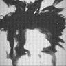 Apex Shift's profile picture