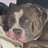 Jack's profile picture