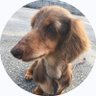 tapico's profile picture