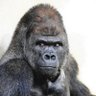 T S's profile picture