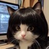 😾 profil fotoğrafı