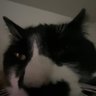 ErinBaby profil fotoğrafı