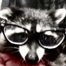 Profilbild von lilzy