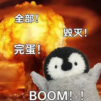 zl3804964712416's profile picture