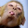 MTATUZI's profile picture