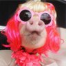 みえ's profile picture
