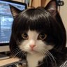 Profilbild von Nashin👑