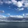 ぴぴねら 的头像