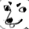 Profilbild von xai