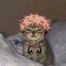 jay's profile picture