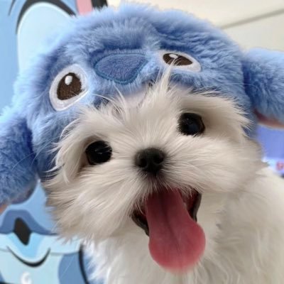 Stitch7766's profile picture
