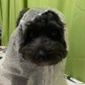 Luchi's profile picture