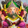 Mangesh D's profile picture