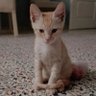 Profilbild von Zeynep Pamuk