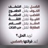 نبراس دهم profil fotoğrafı