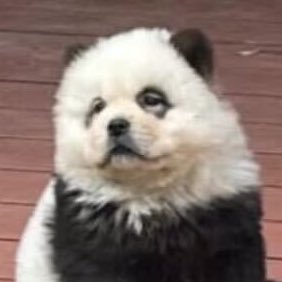 veveverdi's profile picture