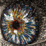 Laylay Andeesh profil fotoğrafı