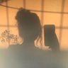 Profilbild von Mondaysun