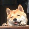 もっさん profil fotoğrafı