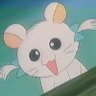 Daniel 🍮's profile picture