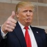 Trump Campaign Ads 的头像