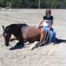 Profilbild von Horseofadifferentcolor