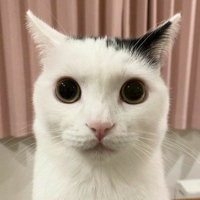 R●TT comms paused (2/5)'s profile picture