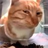 idklol profil fotoğrafı