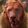 فضل الله's profile picture