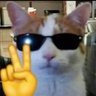 jams's profile picture