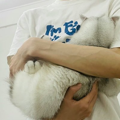 zhzhngyzhj30636's profile picture