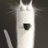Androctonus profil fotoğrafı