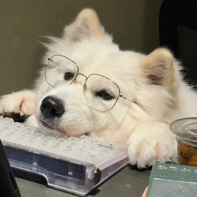 mypuppy23dream's profile picture