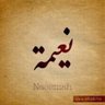 Фото профиля نعيمة السويّد