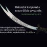Enes cihan's profile picture